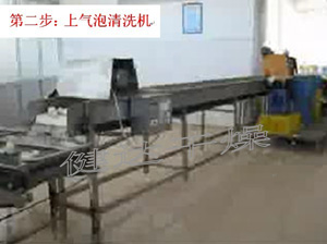 蔬菜脫水-上氣泡（pào）清洗機（jī）