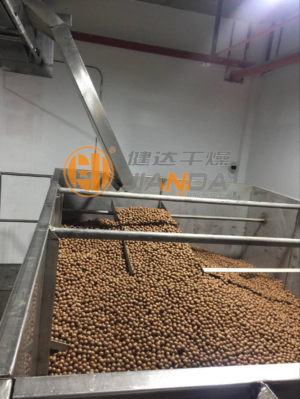澳洲堅果幹（gàn）燥生產線（xiàn）-上料