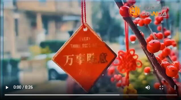 新（xīn）年開工大吉，元氣滿滿譜新篇（piān）！
